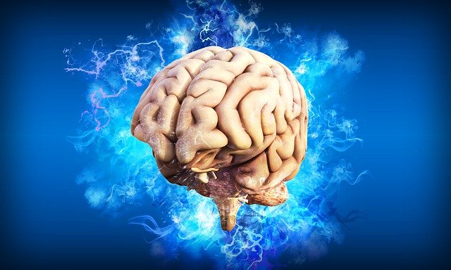 Meditation und Gehirnwellen