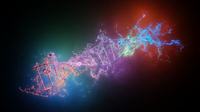 DNA-Telomerase 1